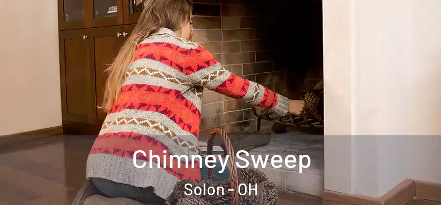 Chimney Sweep Solon - OH