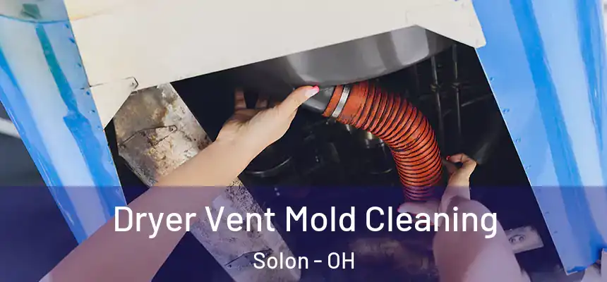  Dryer Vent Mold Cleaning Solon - OH