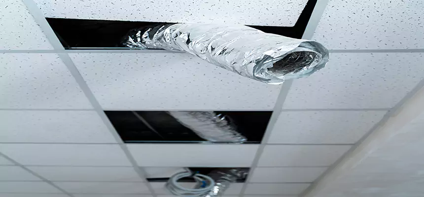 Our Air Duct Pet Hair Removal Services in Solon, OH