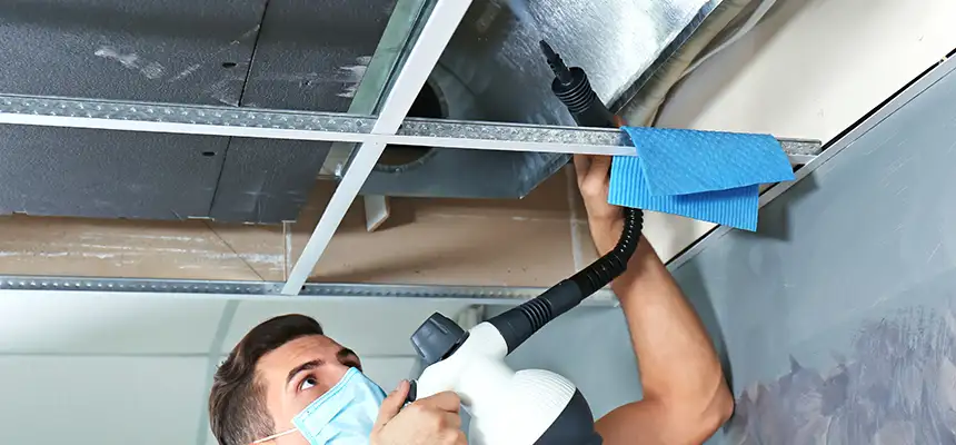 Our Air Duct Rodent Removal Services in Solon, OH