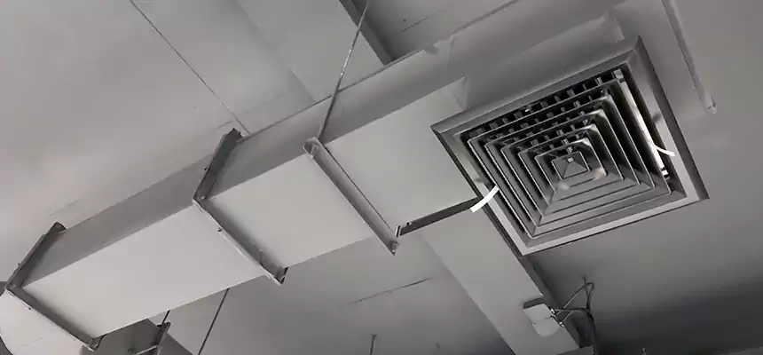 Our Pest Removal From Ducts Services in Solon, OH