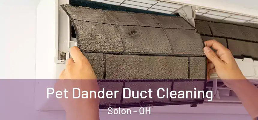 Pet Dander Duct Cleaning Solon - OH