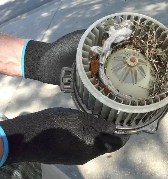 About Air Duct Rat Removal in Solon, OH