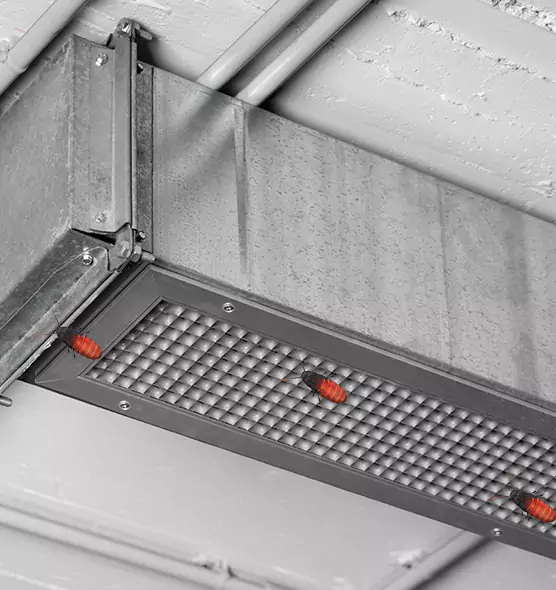Affordable Insect Removal from Air Ducts in Solon, OH