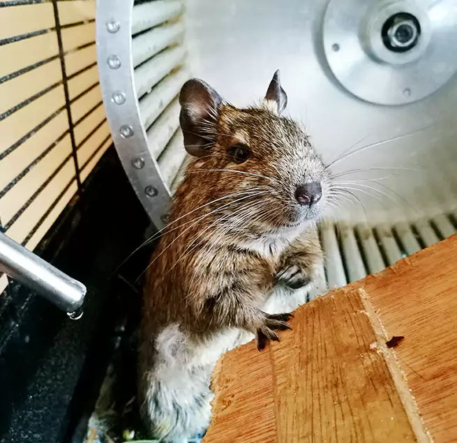 Why Homeowners & Businesses Trust Us Solon, OH