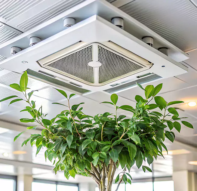 Why Homeowners & Businesses Trust Us in Solon, OH?